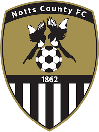 https://img.bohgms.com/img/football/team/9e230c89a846b9cadf91884918fa7611.png